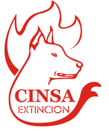 CINSA EXTINCION Talavera
